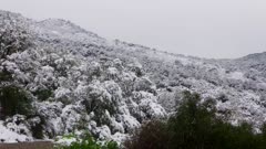 Cap Sicié - Snow -  Mediterranean