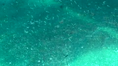 Récif artificiel Sous-marin - underwater artificial reef 
