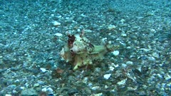 Récif artificiel Sous-marin - underwater artificial reef