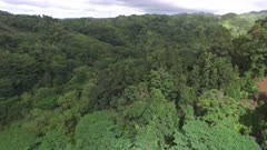 Aerial Footage Hawaii Tropical Forest and Mountains