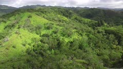Aerial Footage Hawaii Tropical Forest and Mountains