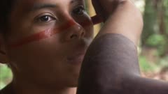 Indigenous People In Amazon Forest,Bullet Ant Ritual,Woman Applies Body Paint To Young Man