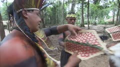 Amazon Bullet Ant Ritual,elders put ant gloves on young man,he shows sign of pain