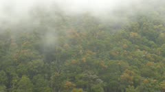 Timelapse of mountainous forest filling frame with clouds in foreground