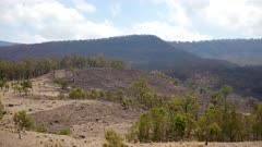 Bushfire burnt areas, Vistas, Cunningham's Gap,