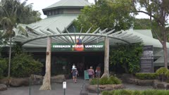 Currumbin Wildlife Sanctuary, Entry Area, Koala Sculpture, Australia