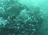 Lava Cools, Explodes Underwater--Noise!!