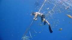 A Marine biologist free-dives and repairs a FAD in the open ocean surrounded by thousands of small silver juvenile fish