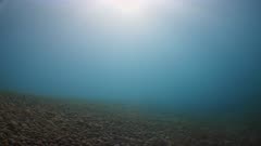 Static underwater shot of sunlight filtering down onto cobble seabed in shallow water surf zone. UK