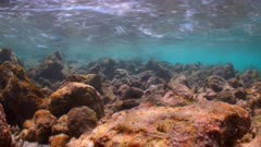 Underwater shot of high speed tidal current rushing through a break in a man-made causeway. Palmyra Atoll 