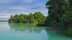 A water level revealing shot of a secluded island within Palmyra Atoll, seabirds flying through frame.