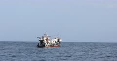 Squid , Calamari Fishing fleet
