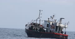 Squid , Calamari Fishing fleet