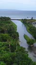 Vertical drone footage of rice fields filled with water close to the sea around the Tukad Petanu river. The camera is facing the sea with the river and the rice paddies next to it and is going away ascending.