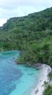 Vertical drone footage of a small village surrounded by tropical vegetation and colorful shallow reef in the north of Dawera island, Indonesia. The camera is starting over coconut trees along the beach and is going over the village ending up ascending and tilting up.