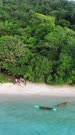Vertical drone footage of a few people on a white sand beach surrounded by tropical vegetation in Nila island, Indonesia. The camera is facing the beach ascending straight showing the volcano behind the hills.