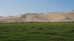 Grasslands with gobi desert dunes in background
