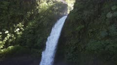 La Paz waterfall and foliage in Costa Rica