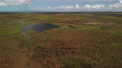 Aerial view of Swamp near Gulf of Mexico in Florida