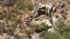 Saguaro cactus desert falls (traveling, aerial shot).MP4