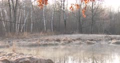 Mist Moving Across Small Pond on Early, Cool Morning