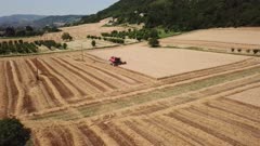 Aerial view of a red harvester machine harvesting wheat in a field in summertime, Italy, Europe
