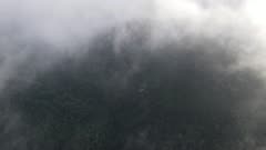 Aerial morning foggy cloud cover rainforest