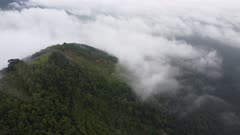 Aerial view plantation at hill covered with low fog cloud