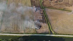 Aerial look down burning of straw paddy field