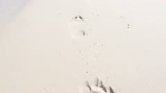 Bon Vallon Beach footprints gimbal Seychelles