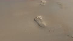 Bon Vallon Beach footprints gimbal Seychelles