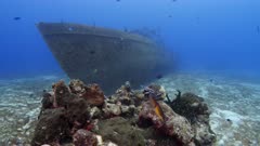 Downtown Shipwreck in Cozumel  2 of 4   (120fps)