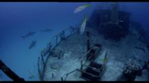 Ultra HD Underwater Shipwrecks