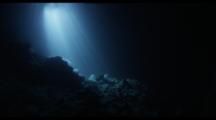 Cavern Diving In Devil's Den Freshwater Spring