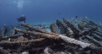Diver Swim Around shipwreck