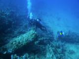 Divers Near Bottom With Arabian Angelfish, Wreck Debris