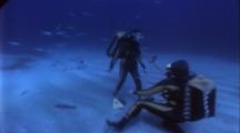 Diver Stock Footage