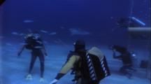 Great White Shark Swims By Mannequin And Diver With Pole