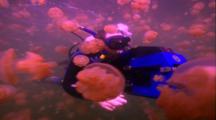 Divers - Diver Filming Jellyfish Swarm