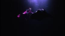 Divers - Manta Ray Feeding And Diver At Night