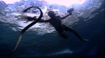 Native Free Divers In Shallow Water With Captured Sea Snakes
