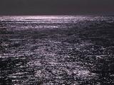 Light Sparkles On Ocean Surface