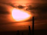 Sunball Sunset, Swirly Clouds, Cactus Silhouette