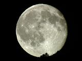 Full Moon Rising Over Pine Ridge