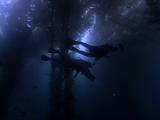Diving With Sylvia Earle In Kelp Forest