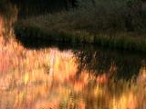 Autumn Colors Reflected In Water