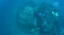 Divers Swim Above Signs Of Destructive Fishing On Coral Reef