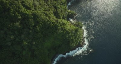 Bird's eye view, tracking along coast of Cocos Island