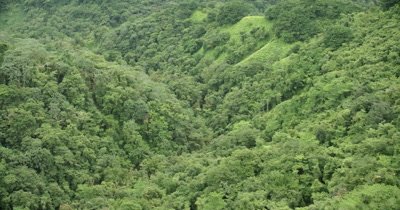 bird's eye view of rainforest on island