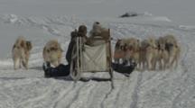 Inuit Drives Dog Sled Over Snow Field, Away From Camera